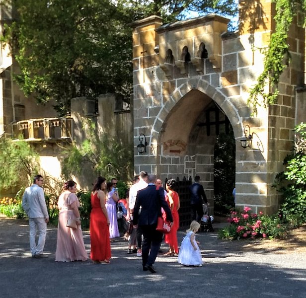 251 foto MVervoorn 2019-06-22 16.47.35.jpg